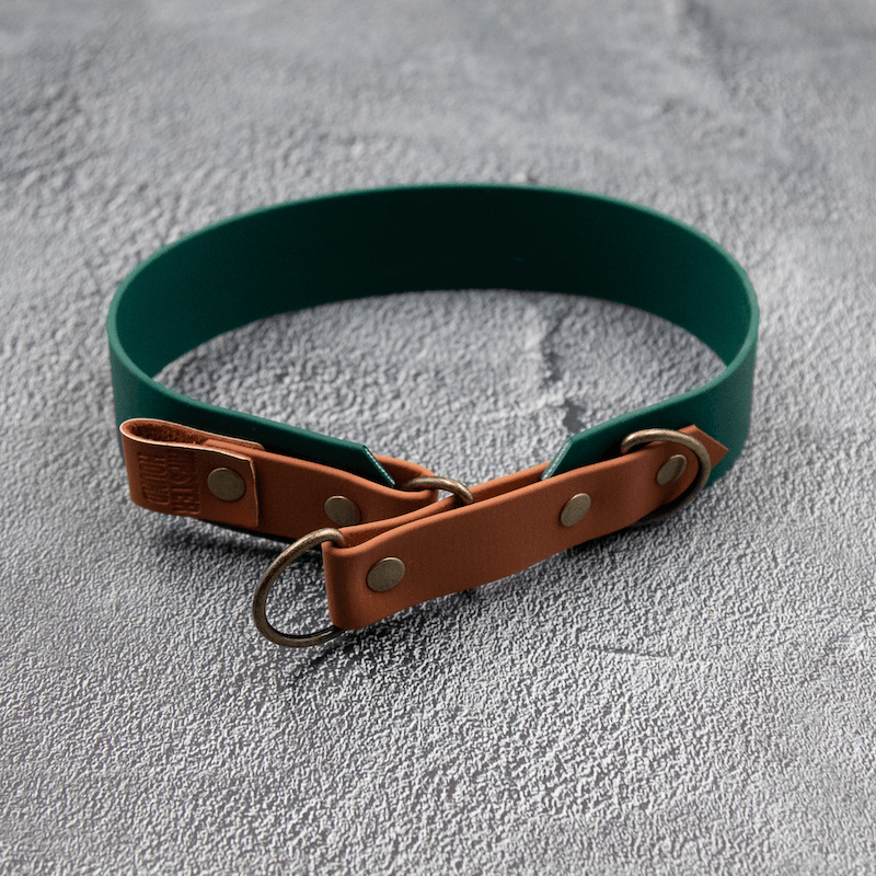 Controlled Slip - hundehalsbånd - HipsterHound